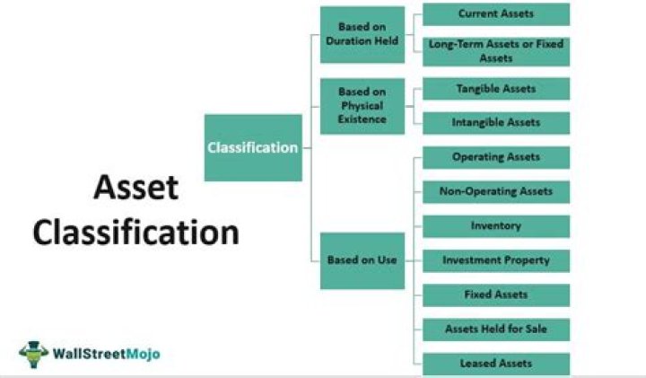 What are 2 classifications of assets?