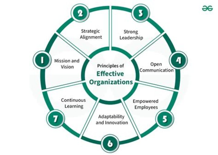 What are 3 principles of an effective organization?