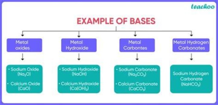 What are 5 examples of bases?