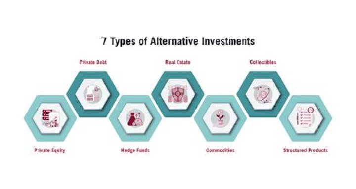 What are alternative capital sources?