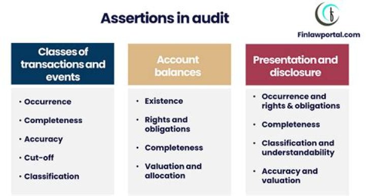 What are assertions give examples of assertions accounting?