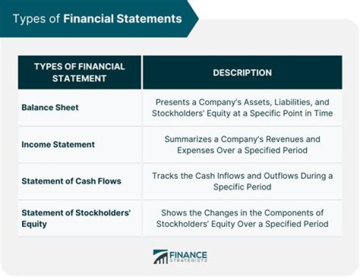 What are called financial statements?