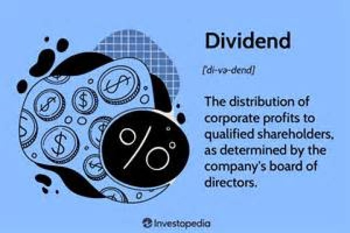 What are corporate dividends?