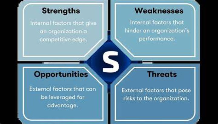 What are examples of weaknesses in a company?