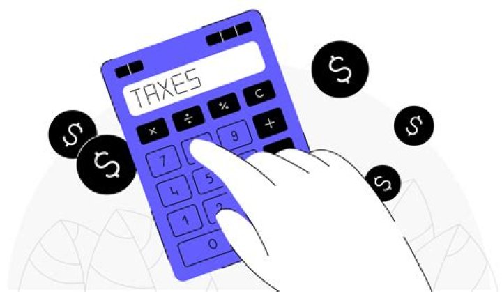What are excise returns?