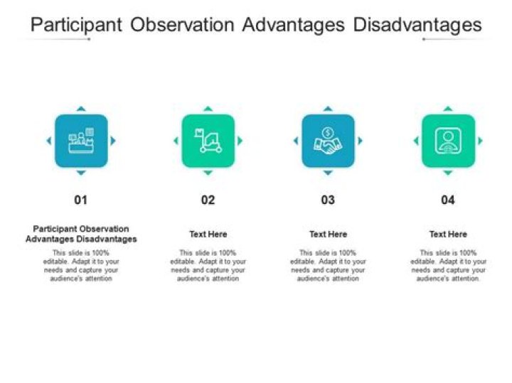 What are four disadvantages of participant observation?