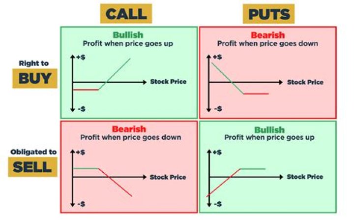 What are granted stock options?
