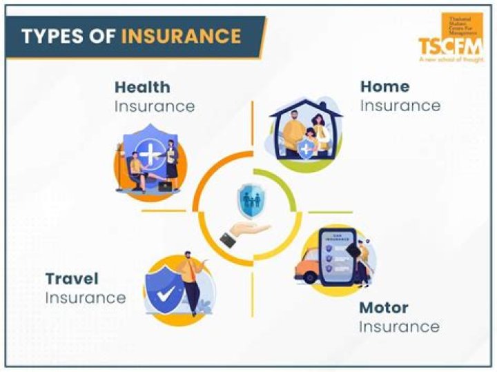 What are insurance managers?