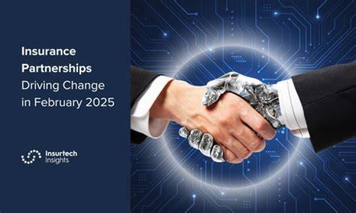 What are insurance partnerships?