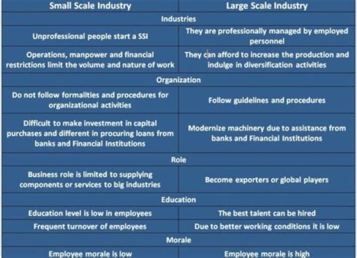 What are large scale and small scale industries?
