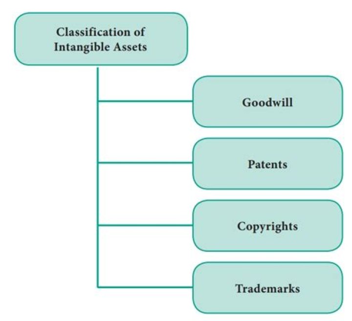 What are limited life intangible assets?