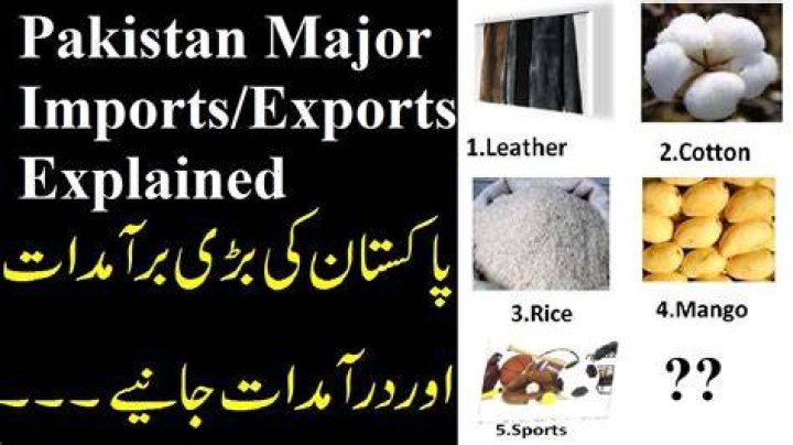 What are major imports of Pakistan?