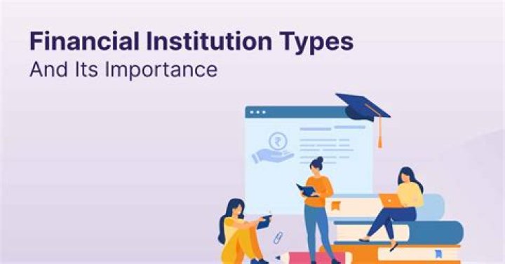 What are micro financial institutions?