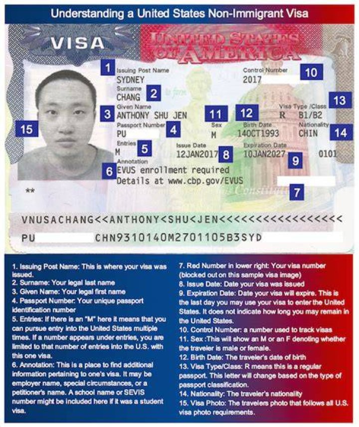 What are non immigrant US visas?