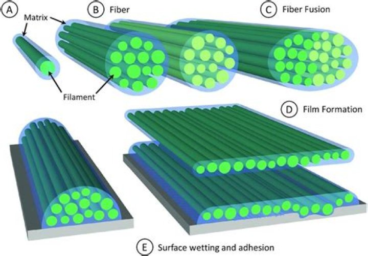 What are Noncellulosic fibers?