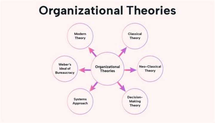 What are organizational theories in business?
