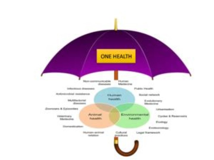 What are other services covered under the umbrella of health care?