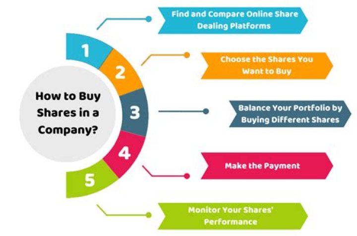 What are people who buy shares of a company called?