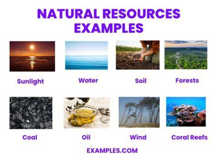 What are physical resources give example?
