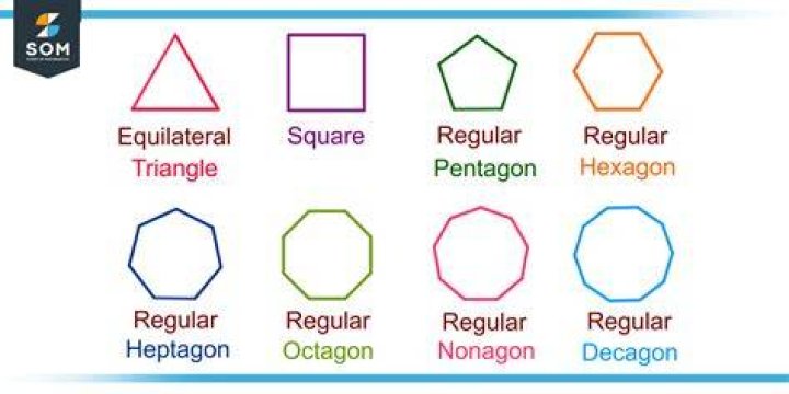 What are regular items?