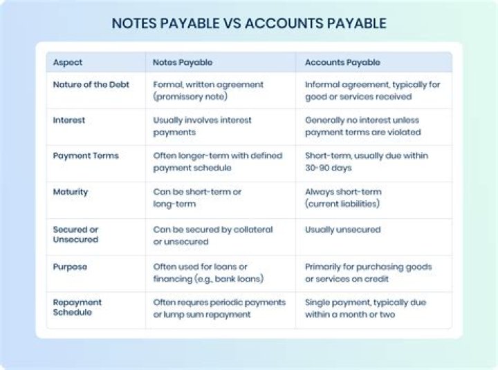 What are shareholder notes payable?