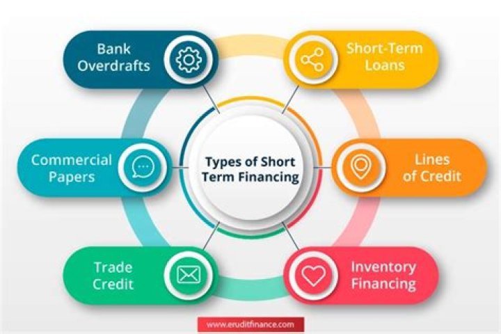 What are short term sources of finance used for?