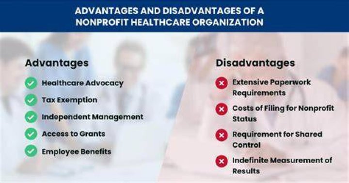 What are some disadvantages of non profit organizations?