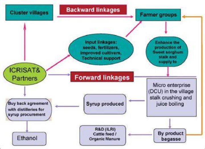 What are some examples of backward linkage?