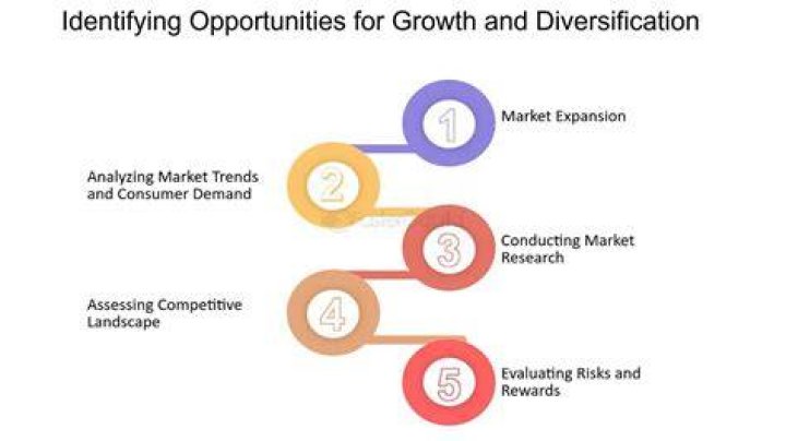 What are some growth opportunities?