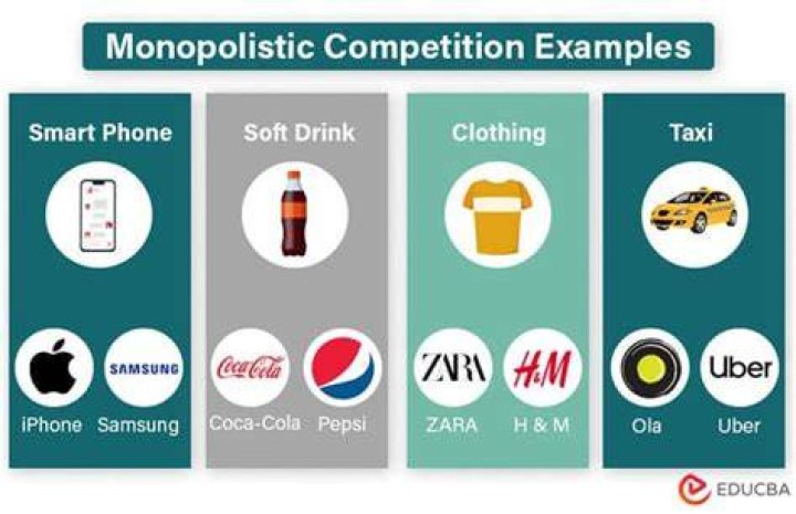 What are some monopolistic companies?