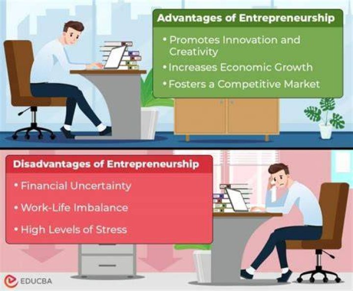 What are some of the advantages and disadvantages of entrepreneurship?