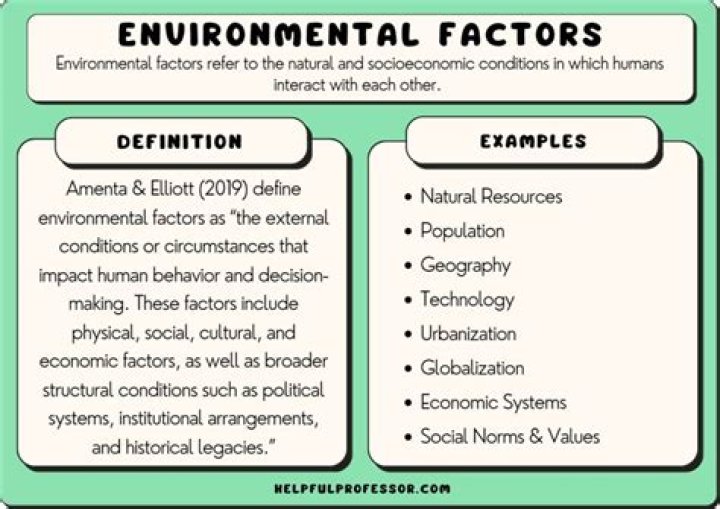 What are some of the environmental factors that may influence buying decision?