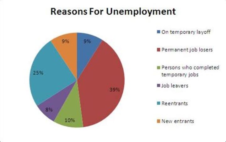 What are some reasons people are unemployed?