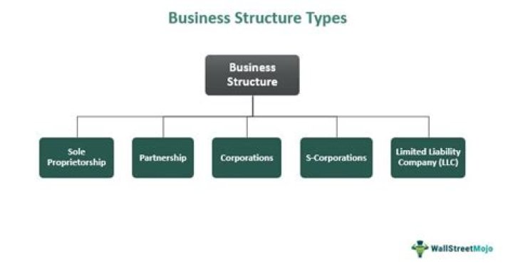 What are the 2 basic business structures?