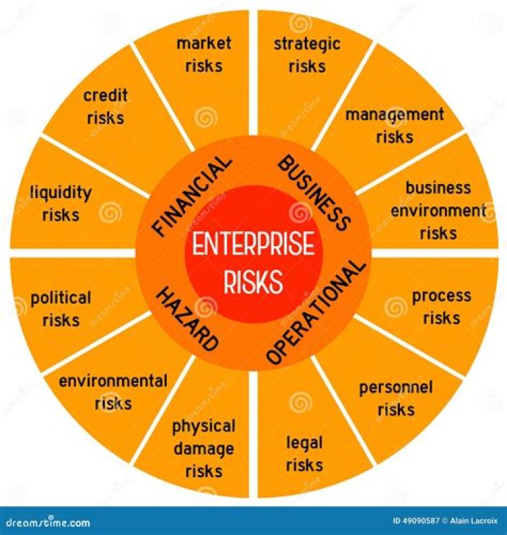 What are the 3 business risks?