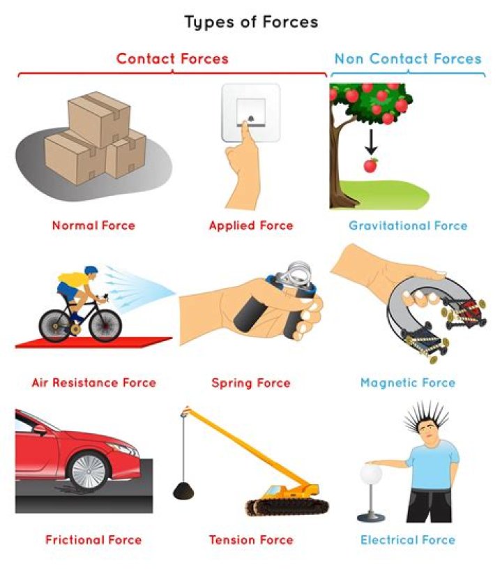 What are the 4 contact forces?