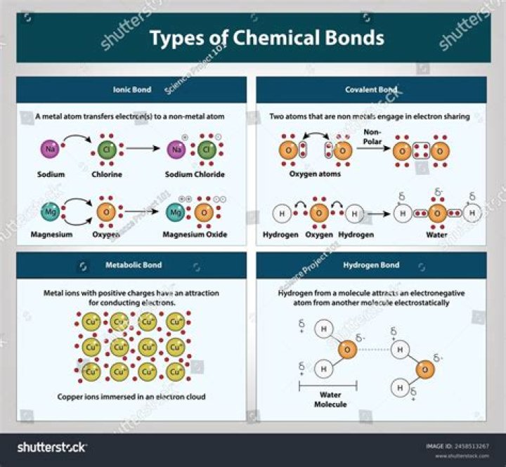 What are the 5 characteristics of bonds?