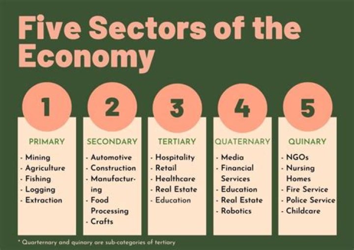 What are the 5 levels of economic activity?