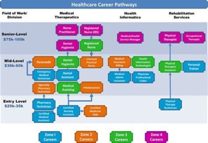 What are the 7 career pathways?