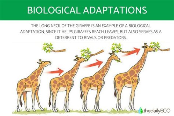 What are the 7 different fields that are involved in environmental science?