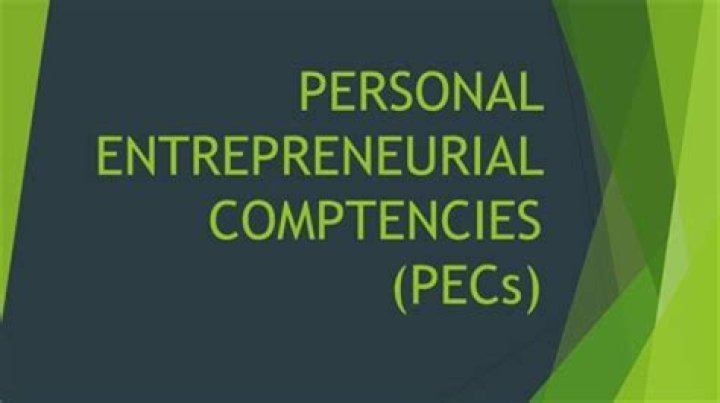 What are the 8 personal entrepreneurial competencies?