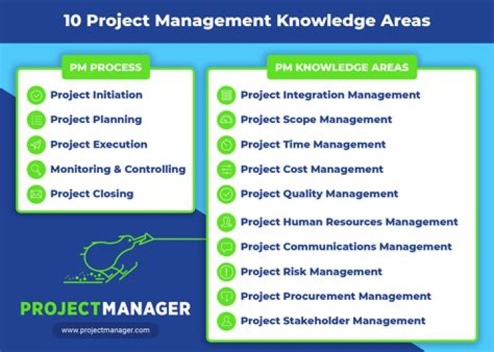 What are the 9 areas of project management?