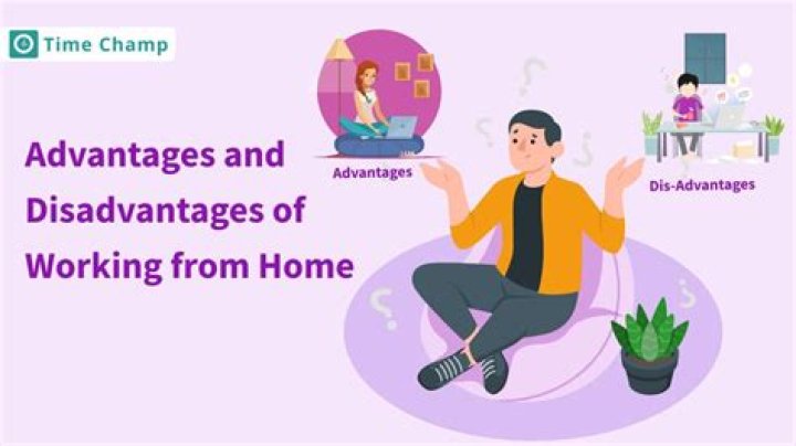What are the advantages and disadvantages of being employed?