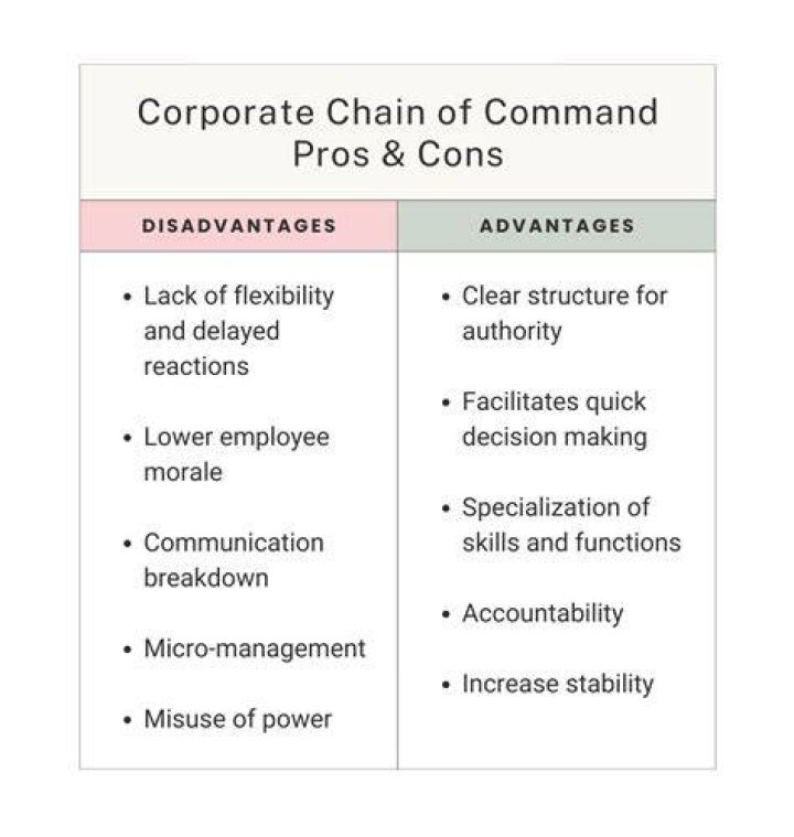 What are the advantages and disadvantages of long chain of command?