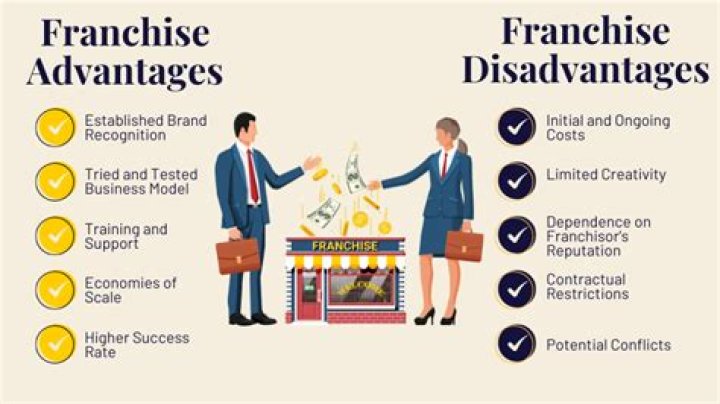 What are the advantages of franchise?
