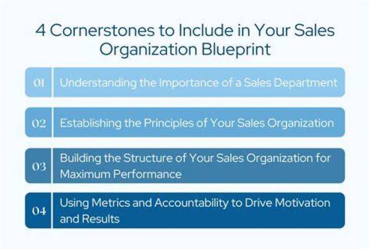 What are the basic concept of sales organization?
