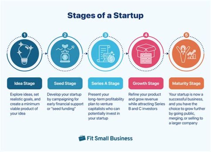 What are the business start up options?