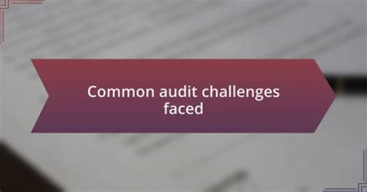 What are the challenges faced by auditors?