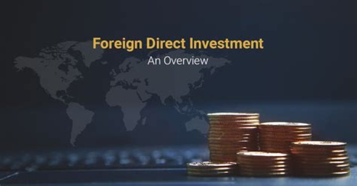 What are the determinants of the location of foreign direct investment?