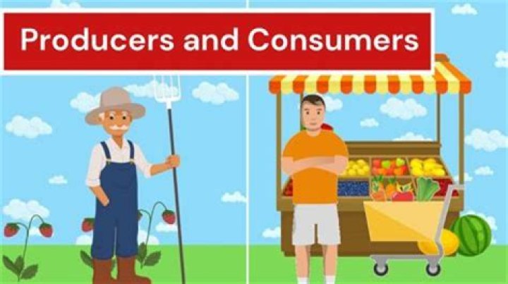 What are the differences between producers and consumers?